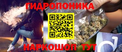 дурь Будённовск